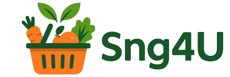 Sng4U Logo